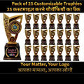 25 pcs Awards trophies momento customised  unique corporate gifts for celebration