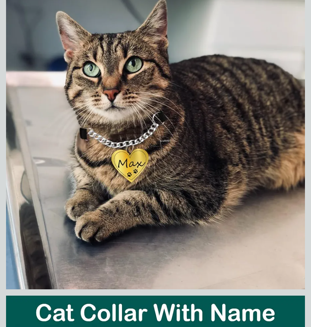 Nylon cat collar chain with customised name Adjustable