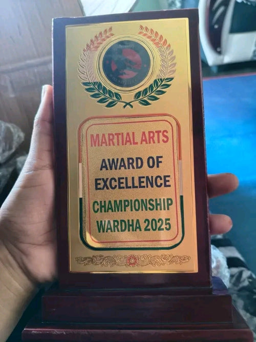 10 pcs Awards trophies momento customised unique design