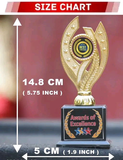 25 pcs Awards unique design momento trophies personalized