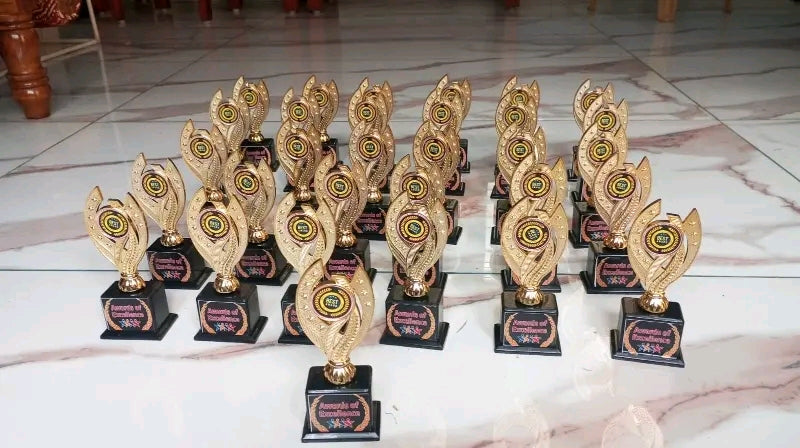 25 pcs Awards unique design momento trophies personalized
