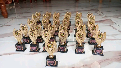 25 pcs Awards unique design momento trophies personalized