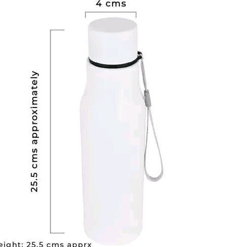 Premium steenless steel flask / bottle / thermos personalized