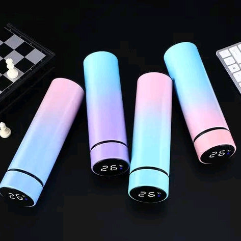 Thermos vacuum flasks steel bottles with temperature led customize with name