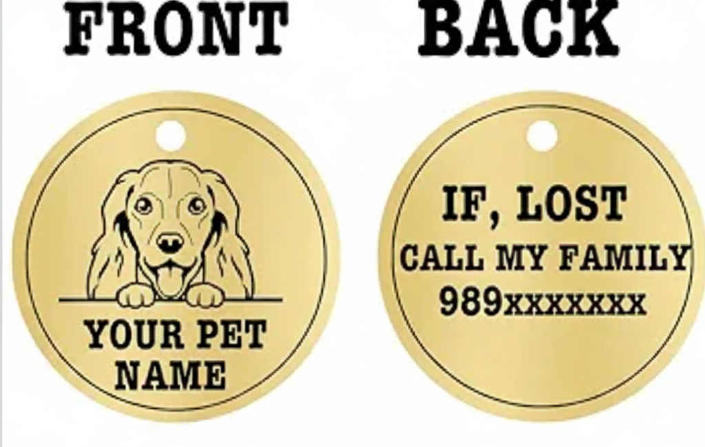 Adjustable Dog collar with names customized