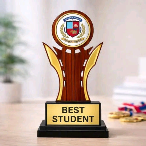 19 CM Wooden Finish Trophy Set of 10 | Big Size Customizable Award Trophies | Premium Look with Black Base | School, Sports & Event Prize (Free Customization)