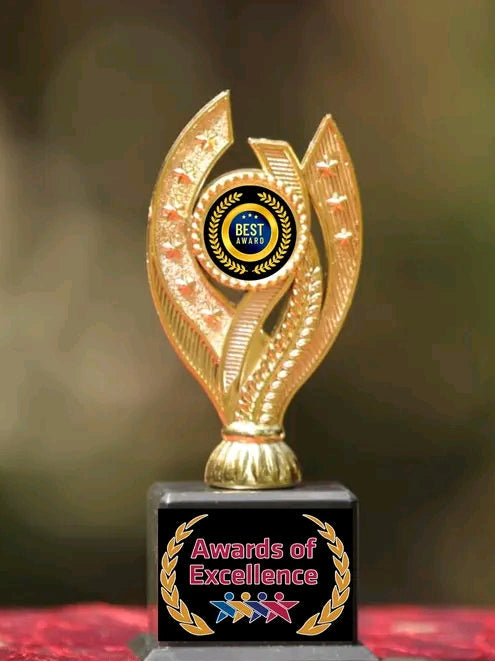 25 pcs Awards unique design momento trophies personalized